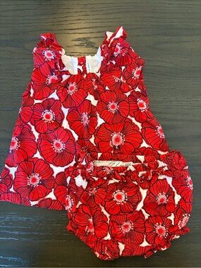 Janie and Jack Floral Baby Dress Set